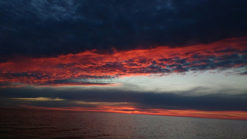 Chesnokova Julia Alexandrovna