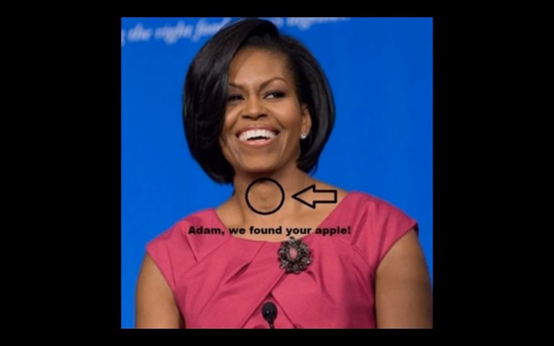 What the thyroid gland at beef looks like