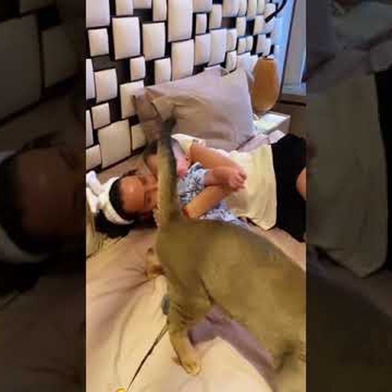 Anastasia Reshetova Islam