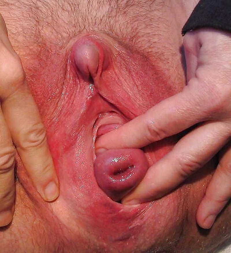 Big lips vaginas