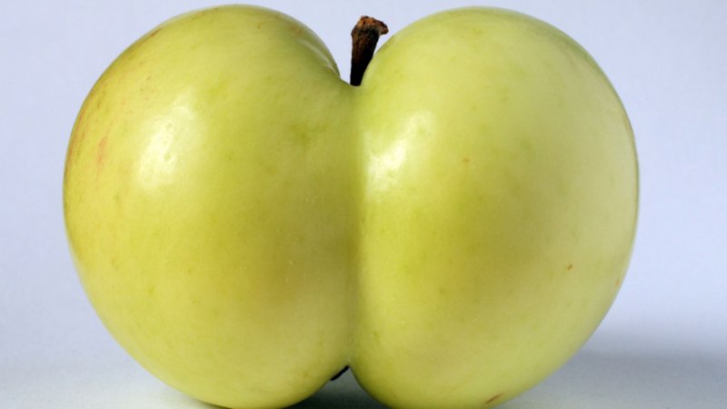 Apple in the form of priests