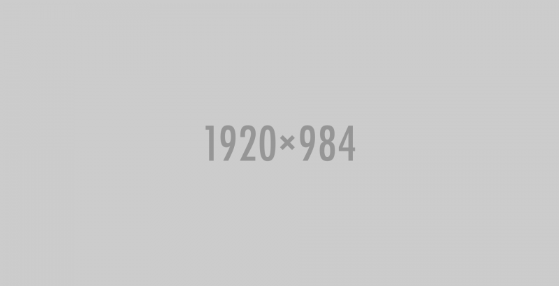 Ivi Park Beyoncé Translation