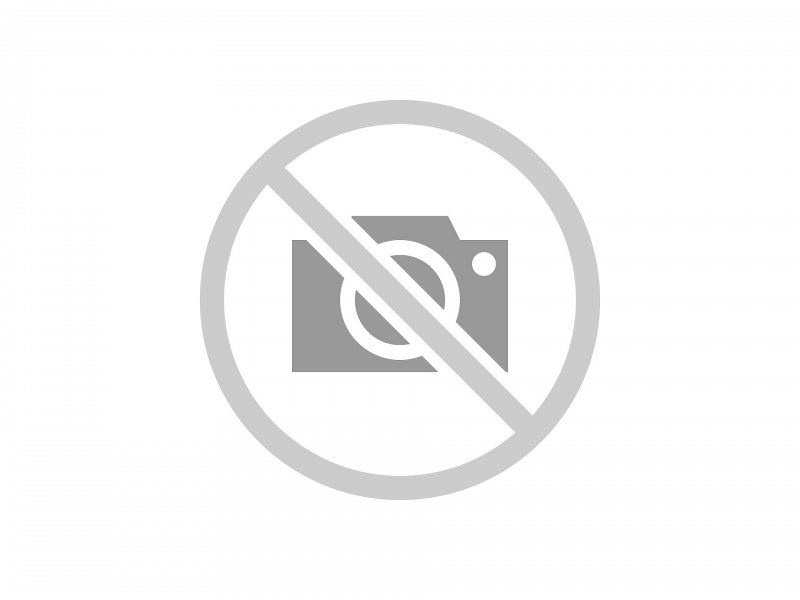 Svetlana Bilyalova Fedor Schmidt