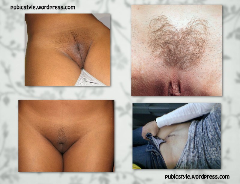 Natural Hairy Women Pussy Thorny Tidback Shaggy Girls - Feti