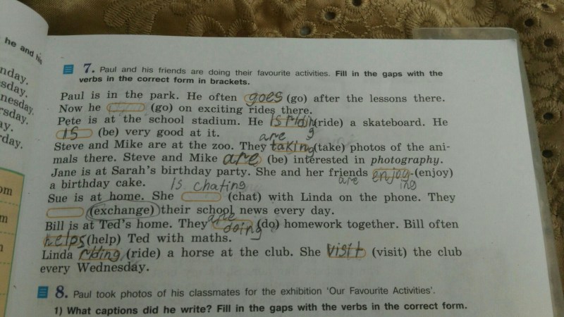 Barbara Genshin Panza