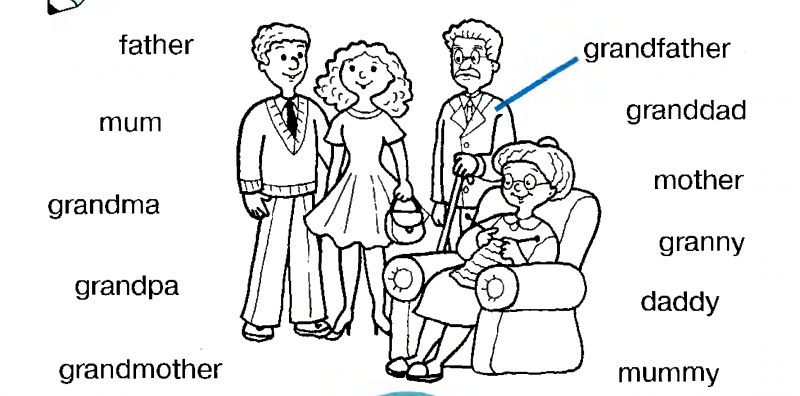 Water Lilies Film 2007