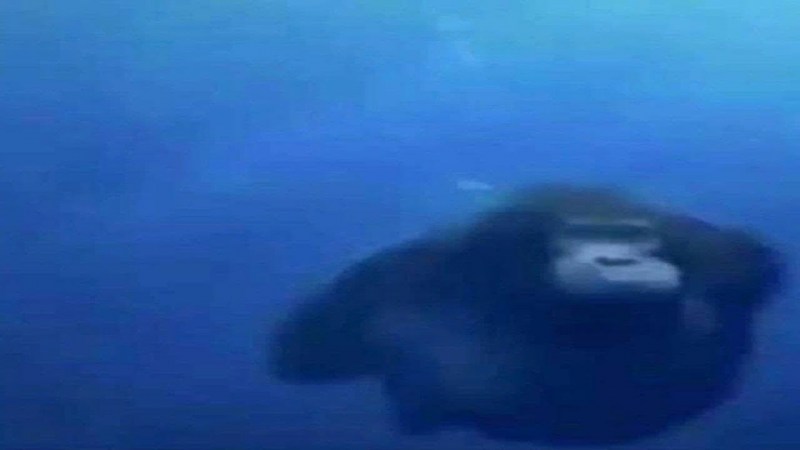 Mediterranean Sea Man Naked