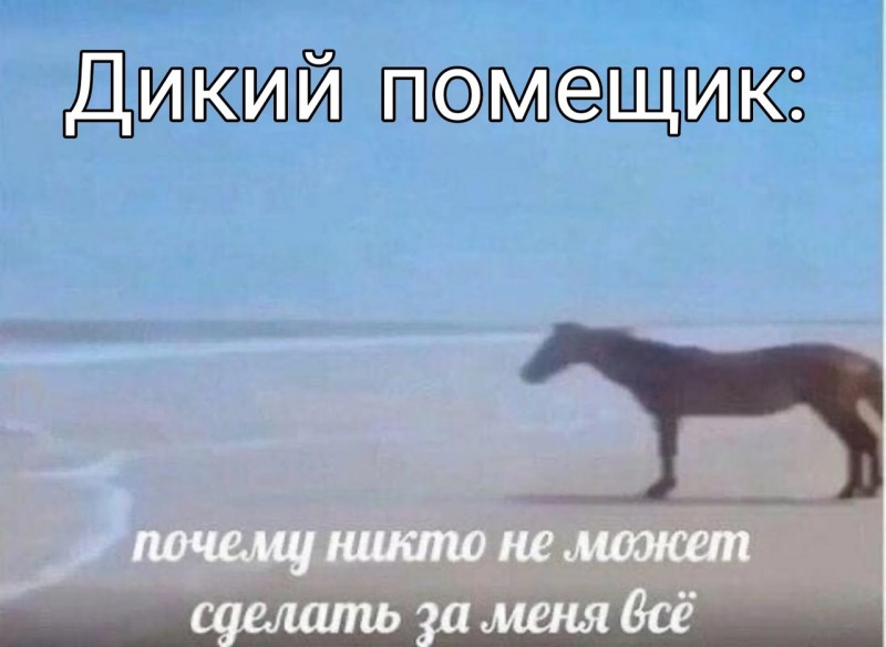 Swingers cruise ship, Gay, XXX