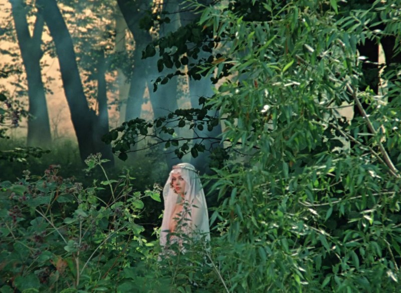 Elena Valyushkina Formula of Love