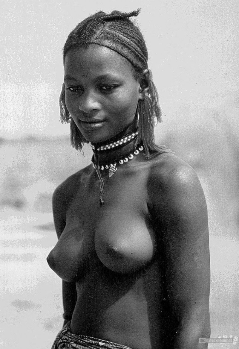 Diamond Jackson Cherokee D Ass