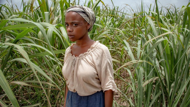 African Black Ebony Girls Pussy Girls