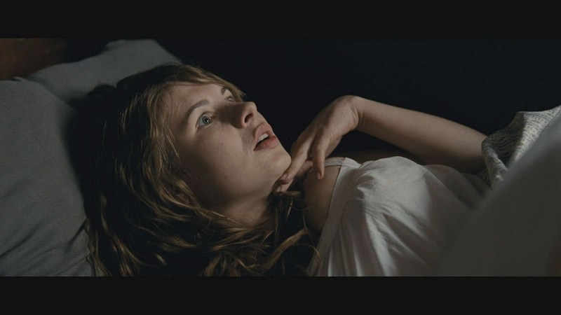 Anna Louise Hassing Goltsius