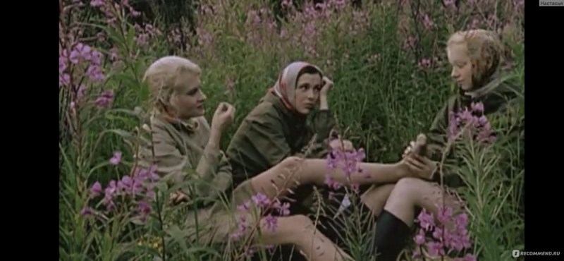 The border of the taiga Roman Litvinova