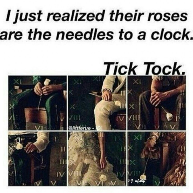 Chubby Belly Big Bull