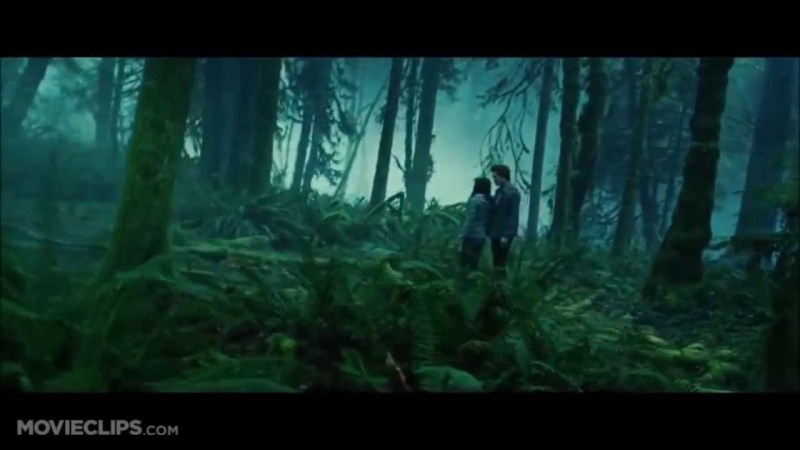 Twilight scene in water