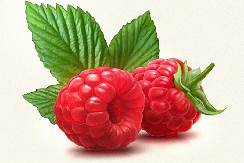 Dina Saeva operations