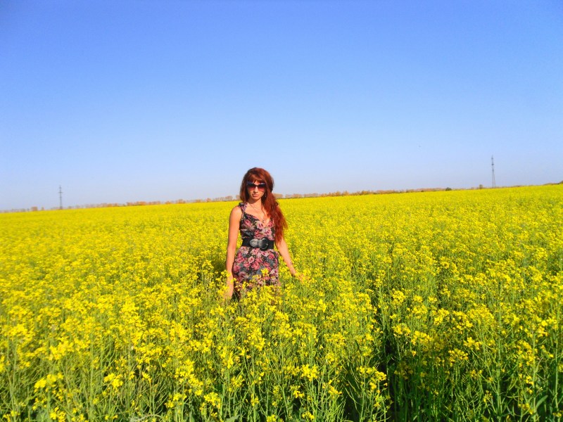 Elena Turgal series dog