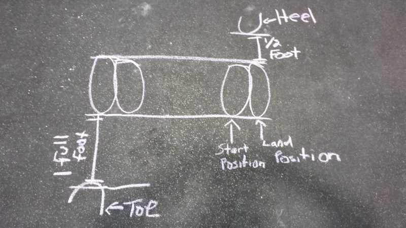 Pet tasks Writing Task 2