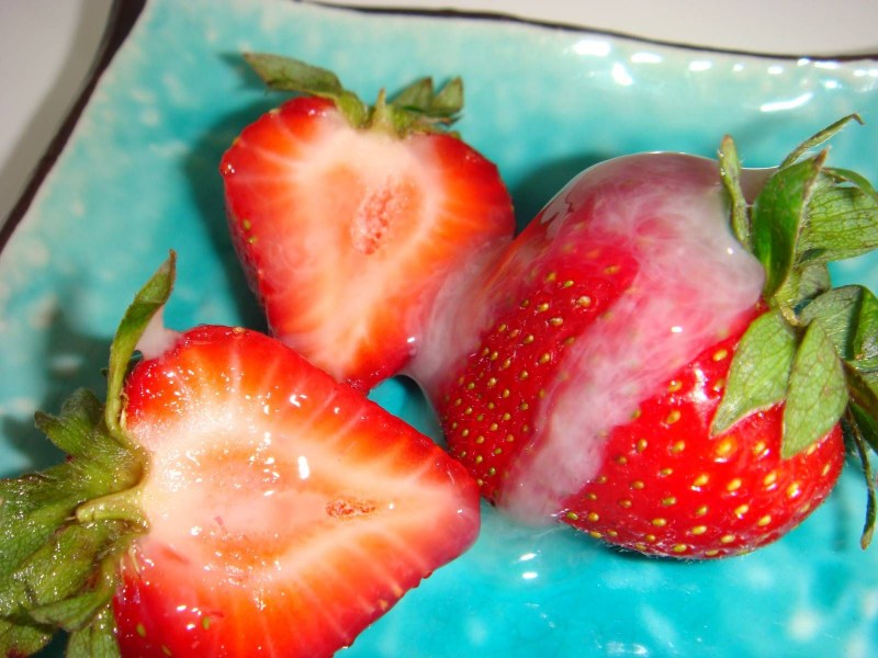 Celia Maturenl Hillary Lustygrandmas (Sex