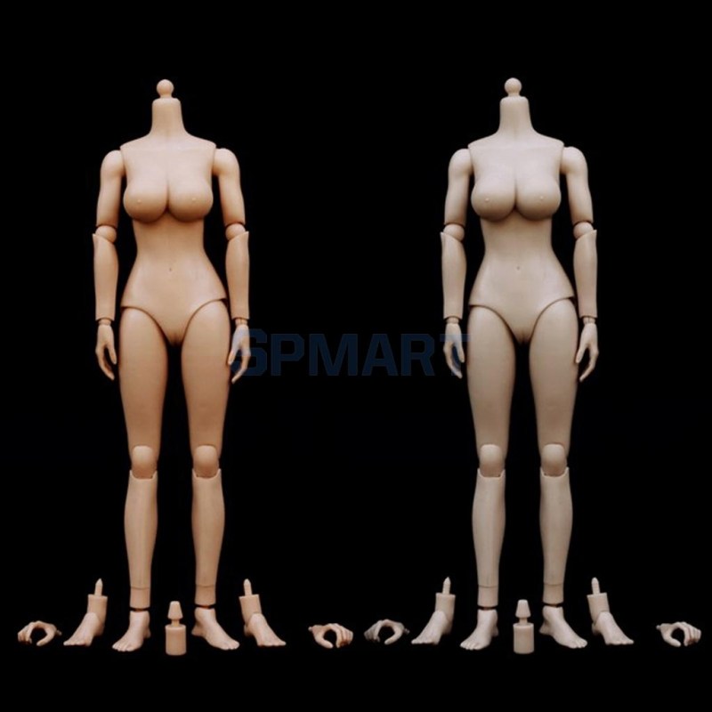 Beautiful naked female figures