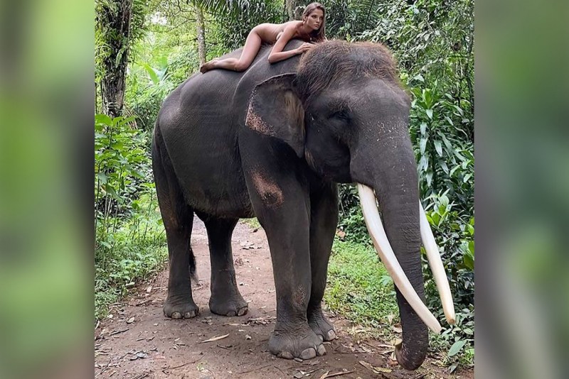 Kafelnikova on an elephant