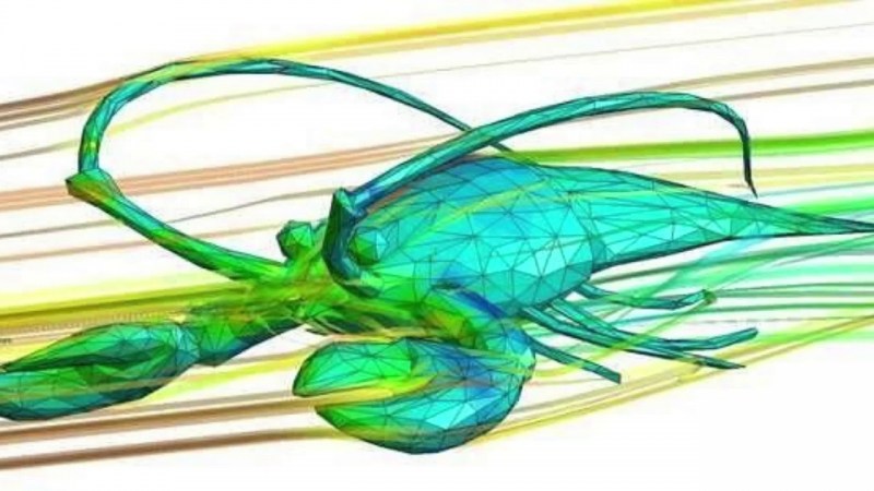 Open Education Final Test