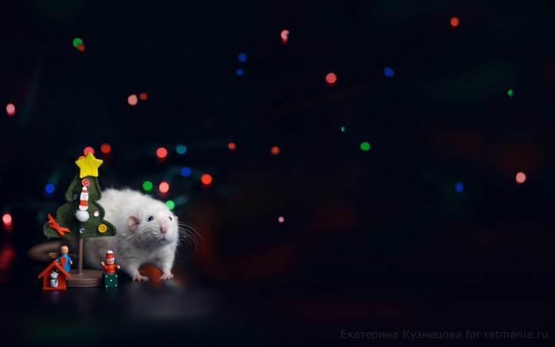 Ekaterina Kuznetsova XXX