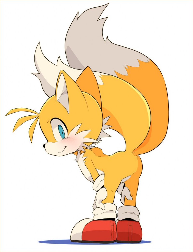 Sonic Shedou Ruzhe Silver Amy and Tiles