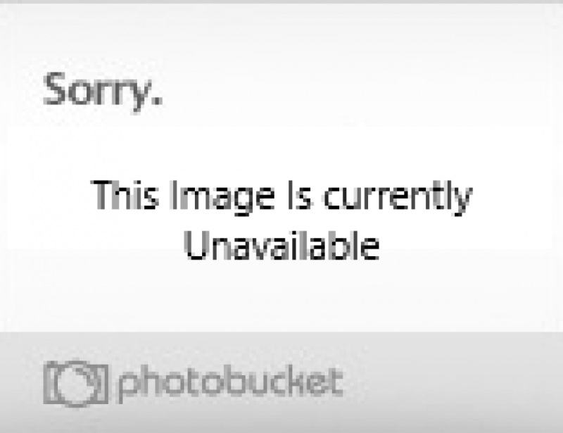 Olga Shelest Pornstar