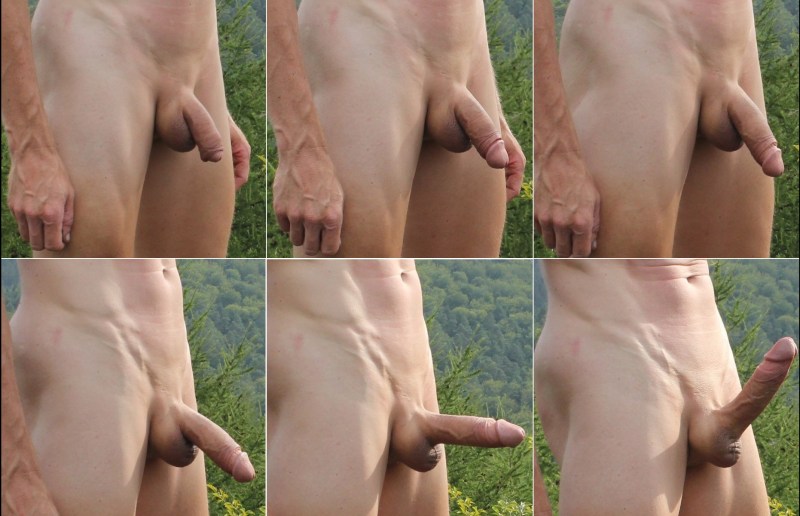 Huge sweaty members of Flaccid