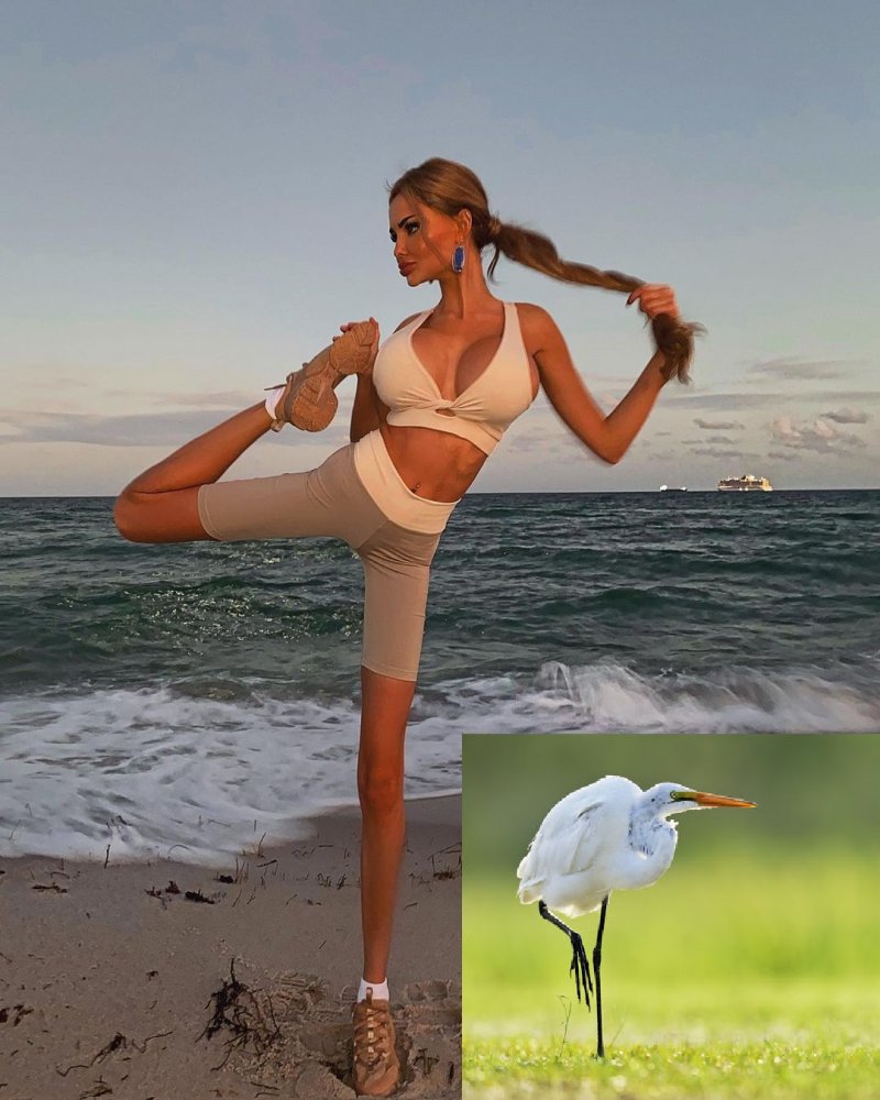 Veronica Sherstyuk model