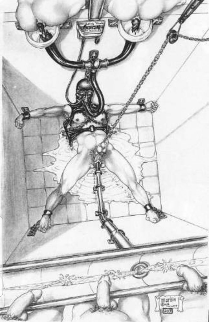 BDSM transvestites are trying