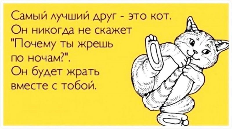 Spring I want to fall in love