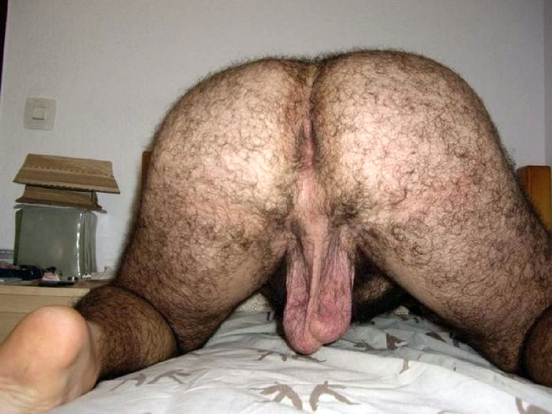 Thick hairy asses